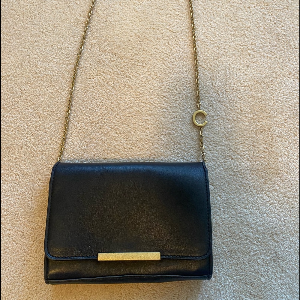 Zara C black purse